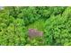 Aerial view of a house roof, green lawn, and surrounding forest at 2592 Highmount Ct, Carmel, IN 46033