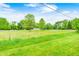 Wide view of the backyard featuring a green lawn, mature trees, and blue sky with bright yellow flowers at 318 S Routiers Ave, Indianapolis, IN 46219
