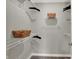 Organized walk-in closet with wire shelving and ample storage space at 6706 Halsey St, Zionsville, IN 46077
