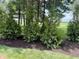 Beautifully landscaped yard featuring mature trees and fresh mulch at 11700 Harvest Moon Dr, Noblesville, IN 46060