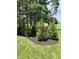 Green lawn showcasing newly mulched area with evergreen trees and mature trees at 11700 Harvest Moon Dr, Noblesville, IN 46060