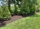 Lush lawn with newly mulched landscaping featuring a row of evergreen trees at 11700 Harvest Moon Dr, Noblesville, IN 46060