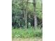 View of wooded backyard with foliage and trees at 11898 N 200 W, Fountaintown, IN 46130