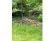 Natural yard setting at 11898 N 200 W, Fountaintown, IN 46130