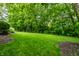 Lush green backyard with healthy grass and well-maintained landscaping, offering a serene and spacious outdoor area at 14274 Matt St, Carmel, IN 46033