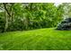 Expansive backyard with mature trees and lush green lawn, offering a serene outdoor space at 14274 Matt St, Carmel, IN 46033