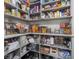 Organized pantry with food and appliance storage shelves at 150 E 46Th St, Indianapolis, IN 46205