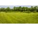 Expansive backyard featuring a large, well-maintained grassy area and a tree line at 1820 N 1100 E, Sheridan, IN 46069