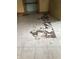 Floor missing pieces and broken tile ready for new flooring installation at 409 Parkway St, Whiteland, IN 46184