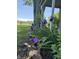 Beautiful landscaping with purple flowers and a stone border next to the home's exterior at 409 Parkway St, Whiteland, IN 46184