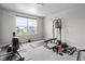 Spacious exercise room featuring ample natural light and a variety of workout equipment at 5264 Veranda Dr, Noblesville, IN 46062
