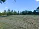 Large, lush yard with mature trees offering privacy and shade at 6336 N Carroll Rd, Indianapolis, IN 46235
