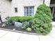 Close-up of landscaped garden bed, showing mature green bushes, budding plants, and decorative rock details at 7823 Ashtree Dr, Indianapolis, IN 46259