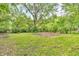 Lush green backyard featuring mature trees, offering a tranquil and private outdoor space at 10346 Wilson Rd, Brownsburg, IN 46112