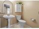 Bathroom with a pedestal sink, a large mirror, and a toilet at 17841 Grassy Knoll Dr, Westfield, IN 46074