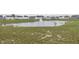 Community pond with a fountain surrounded by green grass at 1863 River Birch Dr, Greenfield, IN 46140