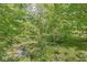 A serene view of a tranquil stream flowing through lush greenery and trees, offering a peaceful natural setting at 2346 N State Road 39, Danville, IN 46122
