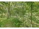 Scenic creek view with lush green foliage and mature trees lining the tranquil waterway at 2346 N State Road 39, Danville, IN 46122