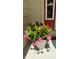 Close-up of a potted flower arrangement beside a red front door at 404 Joseph Way, Carmel, IN 46032
