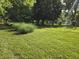 Overhead tree canopies, manicured grass, and lush greenery define a serene and spacious backyard setting at 7015 Westlake Rd, Indianapolis, IN 46214