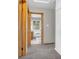 Hallway view into a bathroom with wood trim and door, carpeted floor, and white storage closet at 7380 N State Road 267, Brownsburg, IN 46112