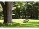 Backyard featuring a rope swing suspended from a mature tree, creating a fun and inviting outdoor space at 8373 W State Road 47, Thorntown, IN 46071