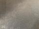 A close-up image showcasing the texture and color of the home's gray carpet at 1045 Springway Dr, Shelbyville, IN 46176