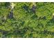 Aerial view showcases a community surrounded by mature trees at 577 Century Oaks Dr, Zionsville, IN 46077
