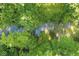Aerial view of a stream, highlighting the vibrant green tree canopy and water reflections at 577 Century Oaks Dr, Zionsville, IN 46077