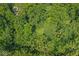 Aerial view of a property features a serene grassy area among lush trees at 577 Century Oaks Dr, Zionsville, IN 46077