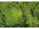 Aerial view of a clearing in the woods, offering a peaceful escape surrounded by lush greenery at 577 Century Oaks Dr, Zionsville, IN 46077