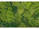 Aerial view of lush greenery with a patch of grassy area at 577 Century Oaks Dr, Zionsville, IN 46077
