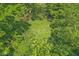 Aerial view of the backyard bordered by mature trees, offering a private outdoor space at 577 Century Oaks Dr, Zionsville, IN 46077