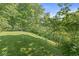 Backyard slopes down to the treeline, with lawn perfect for recreation at 577 Century Oaks Dr, Zionsville, IN 46077