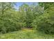 Lush backyard features a tranquil pond and surrounding dense foliage, creating a private oasis at 577 Century Oaks Dr, Zionsville, IN 46077