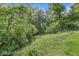 The backyard features a sloping hill leading to a wooded area, with a grassy area at 577 Century Oaks Dr, Zionsville, IN 46077