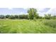 Expansive backyard with a large tree and lush grass, creating a tranquil and private outdoor space at 11423 Atlantic Rd, Fortville, IN 46040