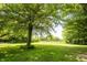 Expansive backyard featuring mature trees, a swing, and a hammock perfect for relaxation and outdoor enjoyment at 11423 Atlantic Rd, Fortville, IN 46040