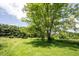 Serene backyard featuring mature trees and lush greenery, providing a peaceful and natural setting at 11423 Atlantic Rd, Fortville, IN 46040