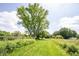 Large backyard with mature trees and lush green space, offering a private and serene outdoor environment at 11423 Atlantic Rd, Fortville, IN 46040