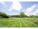 Lush green backyard with mature trees and a shed, offering ample space and potential for outdoor activities at 11423 Atlantic Rd, Fortville, IN 46040
