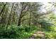 Charming path winding through a wooded area with lush greenery on either side at 11423 Atlantic Rd, Fortville, IN 46040