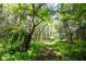 Lush greenery surrounds a natural path, inviting exploration and connection with the outdoors at 11423 Atlantic Rd, Fortville, IN 46040