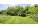 Lush green meadow bordered by mature trees, providing a tranquil and private setting at 11423 Atlantic Rd, Fortville, IN 46040