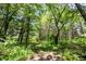 Secluded wooded area featuring mature trees and lush undergrowth, offering a tranquil and natural environment at 11423 Atlantic Rd, Fortville, IN 46040