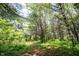 Serene wooded area with mature trees, offering a sense of privacy and natural beauty at 11423 Atlantic Rd, Fortville, IN 46040