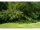 Sprawling backyard with mature trees, a lush lawn, and ample space for outdoor activities at 11875 W 700 S, Columbus, IN 47201