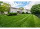 Expansive backyard with manicured lawn, mature trees, and elegant black fencing at 13271 Aquamarine Dr, Carmel, IN 46033