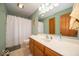 Bathroom featuring a neutral color scheme, large mirror, generous countertop space, and shower with a white curtain at 506 Deerberry Dr, Noblesville, IN 46062