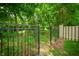 Backyard view through a black metal fence, highlighting the boundary and greenery beyond at 5073 St Charles Pl, Carmel, IN 46033